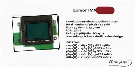 New 12 MP Full Frame Sony EXMOR IMX sensor rumors