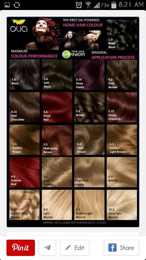 Garnier Olia Color Chart | Garnier hair color, Hair dye colors, Hair color chart