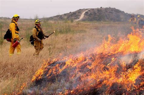 Fuels Analysis & Fire Behavior Modeling – Wildland Fire Associates