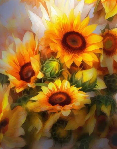 Premium AI Image | A picture of a bunch of sunflowers