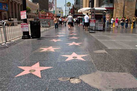 Gli animali dei cartoni che hanno una stella nella Walk of Fame