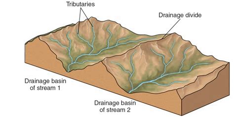 DRAINAGE BASINS - World Rivers