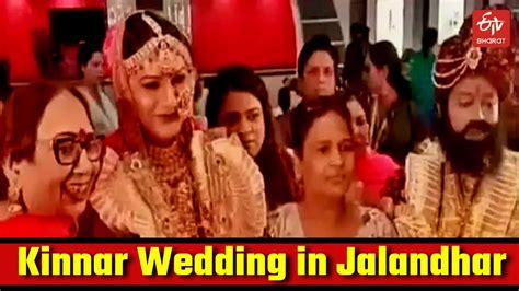 Kinnar Wedding in Jalandhar Grabs Eyeballs | Kinnar Community | Transgender Marriage in ...