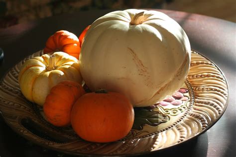 Pumpkins | Pumpkins for Halloween | John Morgan | Flickr