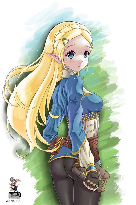 Princess Zelda Breath of the Wild by EvilFlesh on DeviantArt