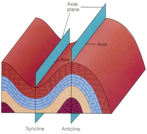 Syncline and Anticline C 1992 West Publishing Company - This diagram ...