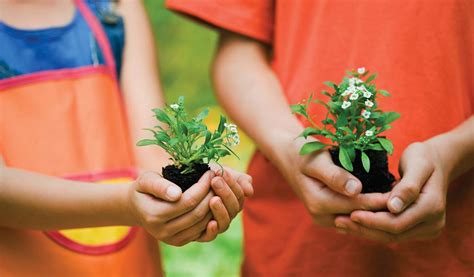 6 ideas for gardening with kids - Farm and Dairy