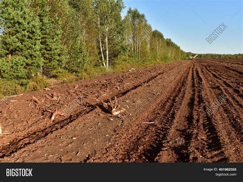 Landscape On Peatlands Image & Photo (Free Trial) | Bigstock