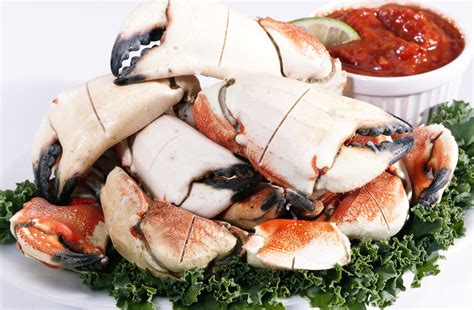 How To Cook Jonah Crab Claws - Recipes.net