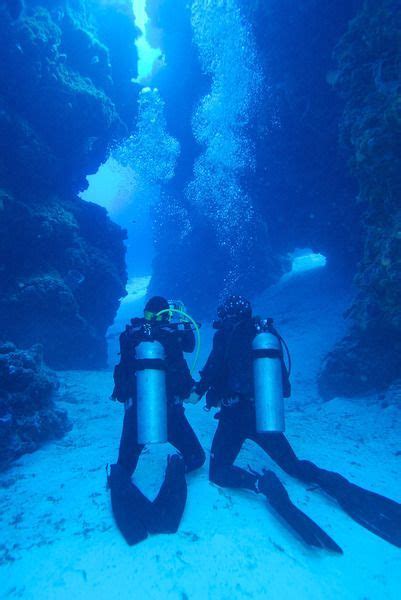 two scuba divers in the deep blue water