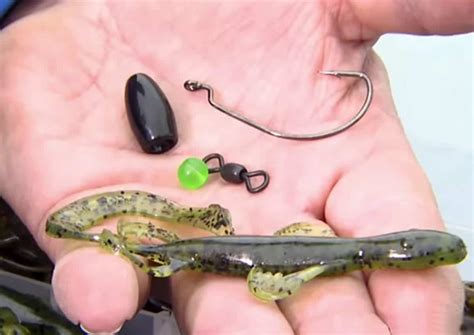 Fishing Carolina Rig Tips For Bass - Slamming Bass