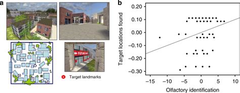 An intrinsic association between olfactory identification and spatial memory in humans | Nature ...