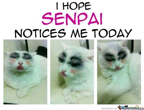 Senpai "NOTICE" Me!!! | Anime Amino