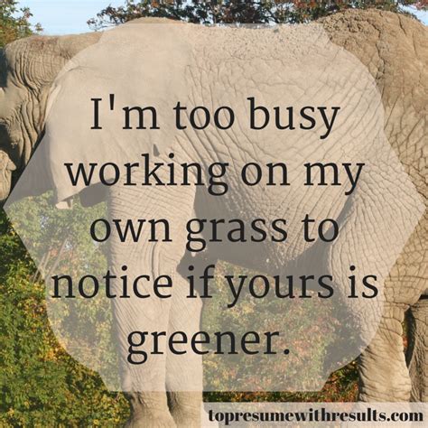 I'm too busy working on my own grass to notice if yours is greener. | Personal growth motivation ...