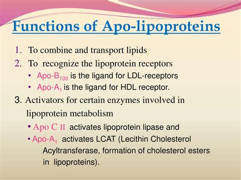 PPT - Lipoprotein Metabolism And Disorders PowerPoint Presentation ...