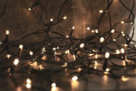 1000 Warm White LED String Lights | The Christmas Forest