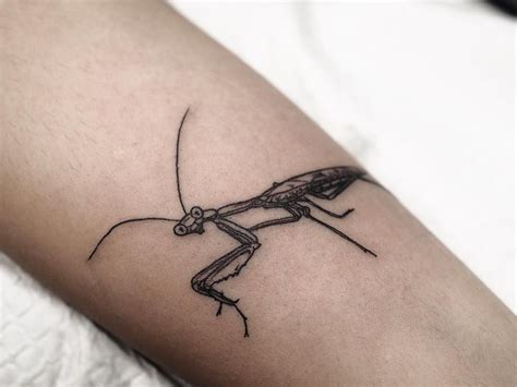 Praying Mantis Tattoo - Tattoo Designs