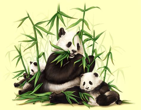 Big Panda Family #illustration #art #wallpaper | Big panda, Panda bear, Illustration