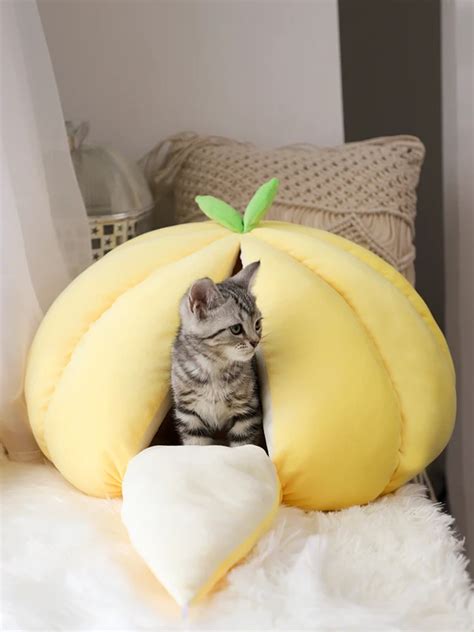 Funny Animals, Kitten Beds, Cats In Bed, Indoor Pets, Cat Room, Pet Furniture, Cat Accessories ...