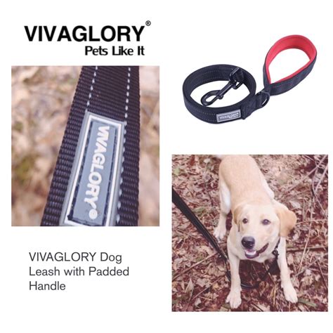 The best dog leash for dogs who pull – you are a canvas