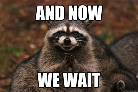 AND NOW WE wait - Evil Plotting Raccoon - quickmeme