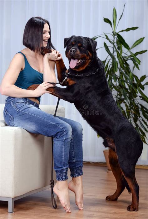 Femme Avec Un Chien De Rottweiler Image stock - Image du rottweiler, crabot: 39076065