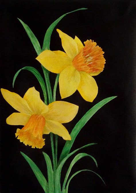 Daffodils, Painting for sale by Julie-AnneGatehouse - Foundmyself