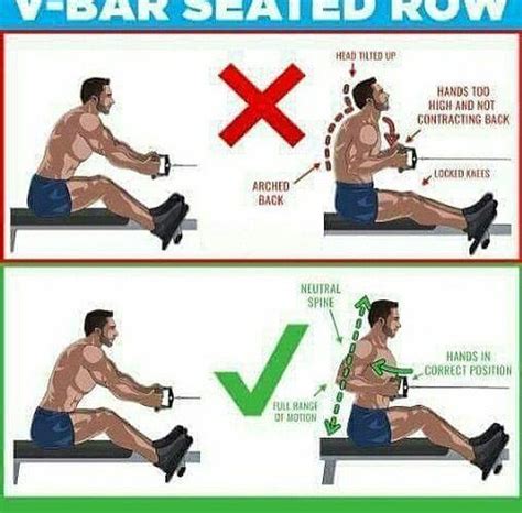 V-Bar seated row exercises | Allenamento con pesi, Esercizi ...