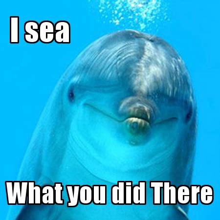 I sea | I See What You Did There | Know Your Meme