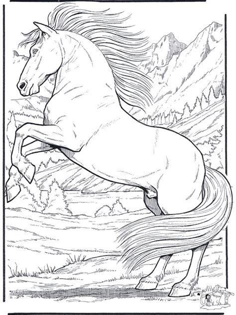 Realistic horse coloring pages to download and print for free