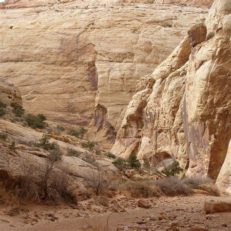 Best Hiking Trails in Capitol Reef National Park, Utah