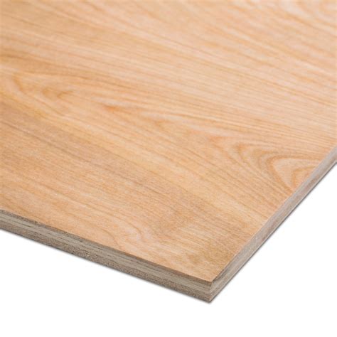 Hardwood Plywood (Th)9mm (W)1220mm (L)2440mm | Departments | DIY at B&Q