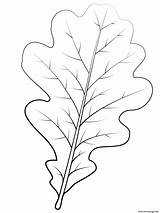 Oak Leaves Coloring Pages Printable Sketch Page sketch template