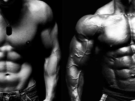 Body Muscles: Bulky or Lean? - Medy Life