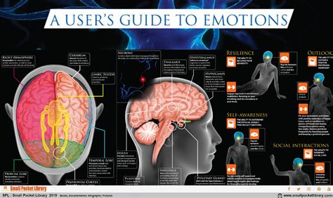 Infographic : The Brain A user's Guide To Emotions