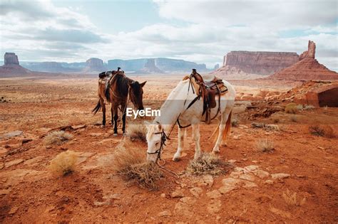 Horses grazing at monument valley against sky | ID: 93392773