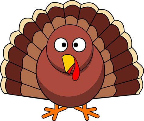 Turkey Thanksgiving Poultry transparent image | Thanksgiving turkey images, Thanksgiving images ...