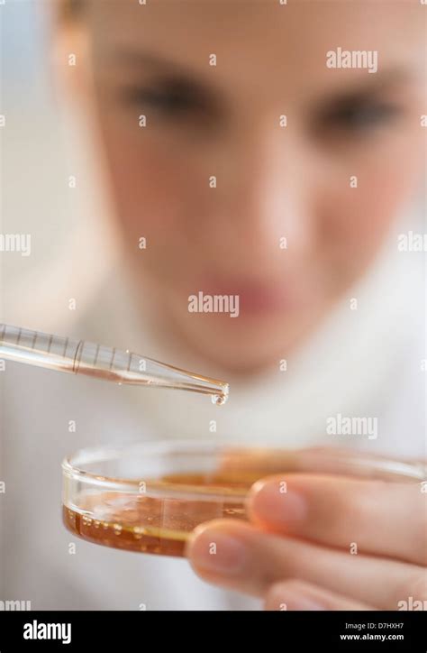 Close-up of scientist using pipette and petri dish Stock Photo - Alamy