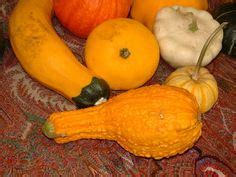 How+to+Dry+Ornamental+Gourds+ Nature Crafts, Fun Crafts, Arts And Crafts, Garden Art, Garden ...