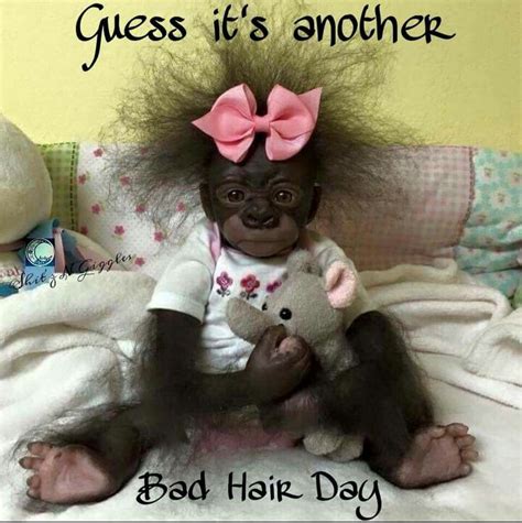 Bad Hair Day | Good morning funny, Friday quotes funny, Funny animal pictures