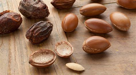 What is an Argan Nut and What Does it Do? - Skin Care - Garnier