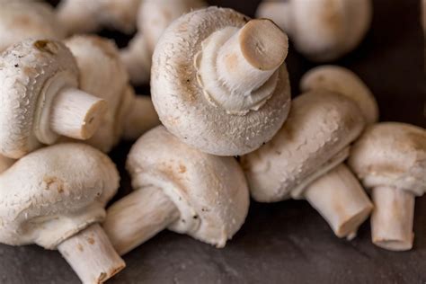Fresh champignon mushrooms - Creative Commons Bilder