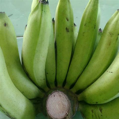 Pisang Ambon | WASMON