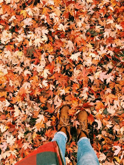 autumn leaves | Autumn photography, Fall instagram, Autumn cozy