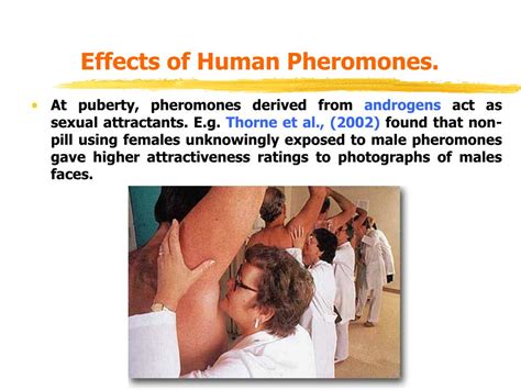 PPT - Biological Bases of Behaviour. Lecture 6: Hormones. PowerPoint ...