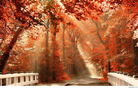 Free download Fall Season Wallpaper [1920x1230] for your Desktop, Mobile & Tablet | Explore 75 ...