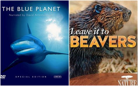 Sunday Top Ten: Spectacular Nature Documentaries For Watching While Wrapped Up In A Blanket ...