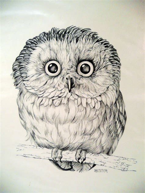 Pin by Debra Wiggins on Clipart | Owl art print, Owls drawing, Art prints