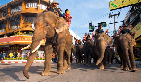 Elephant treks in Thailand and the Surin Elephant Round-Up | Insight ...