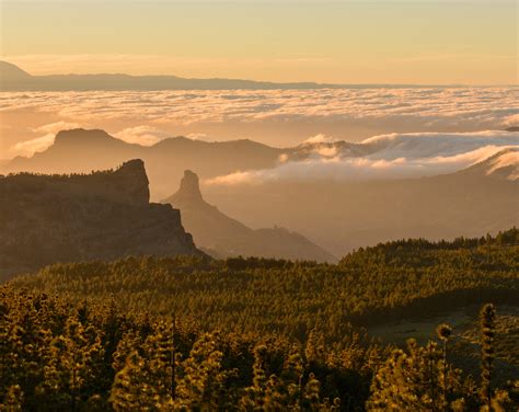 Canary Islands: Welcome to the best climate in the world